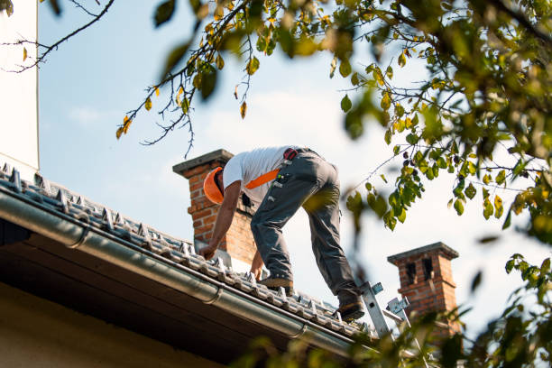 Best Roof Gutter Cleaning  in Clive, IA