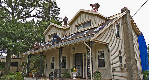 Professional Roofing Contractor in Clive, IA